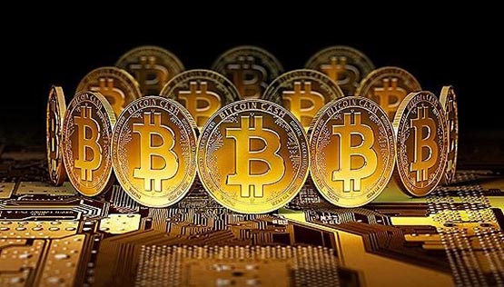 tp钱包是哪个币的钱包_钱包币是什么意思_钱包币的软件