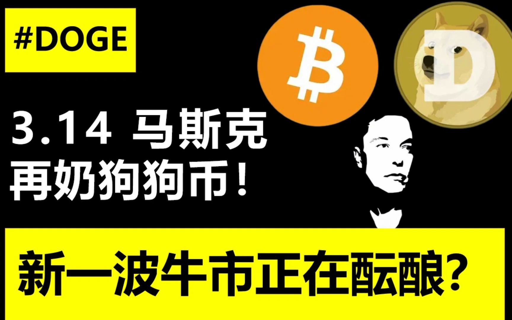 狗狗币钱包dogecoin_狗币钱包app_tp钱包狗狗币