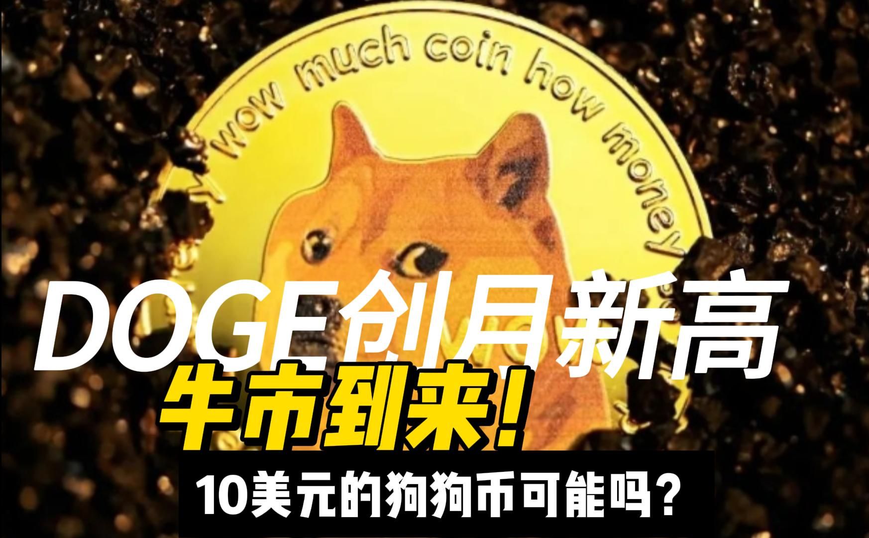 钱包狗狗币_tp钱包 狗狗币网络_狗币钱包app