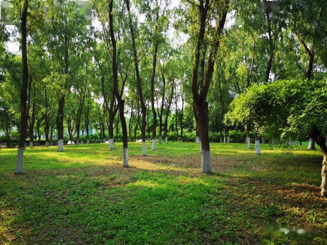 钱包app安全可靠吗_钱包的安全性_tp钱包不安全性