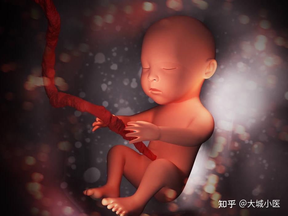 tp钱包是币安的吗_tp钱包是币安的吗_tp钱包是币安的吗