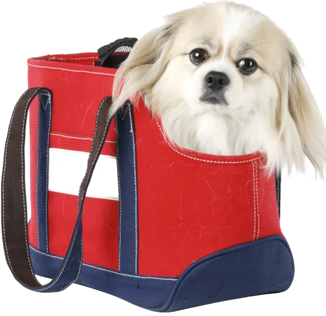 钱包买什么颜色比较聚财_tp钱包怎么买minidoge_钱包买什么颜色招财