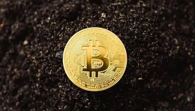 币种钱包怎么转换成钱_tp钱包转币安选择哪个_钱包转币到交易所要多少费用