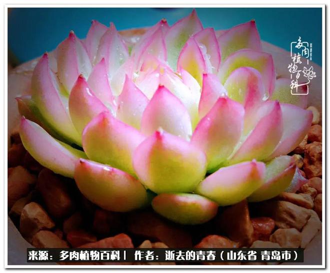 钱包客户电话是多少_钱包客服是什么_tp钱包的客服怎么找