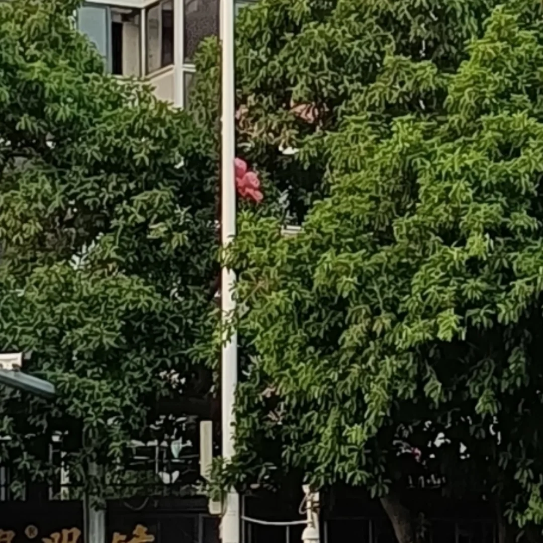 钱包买什么颜色招财_tp钱包买DogeZilla_钱包买皮革的还是帆布