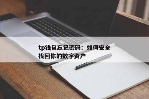 tp钱包怎么找回密码,TP钱包密码找回指南