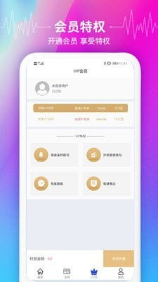 比特币语音识别,未来支付方式的革新