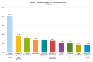 比特币分析人员,市场动态与未来展望