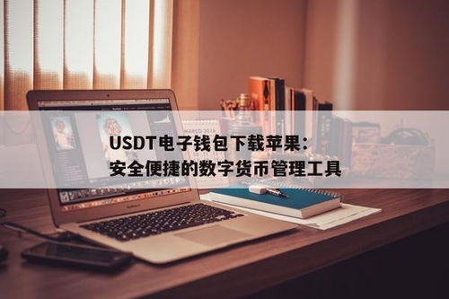 usdt有电子钱包么,便捷数字货币存储新选择