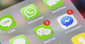 加密货币是微信支付吗吗,支付方式的融合与创新