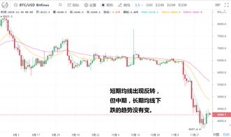 比特币有没有币王,数字货币的币王地位解析