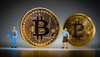 比特币形容,构建未来金融秩序的基石