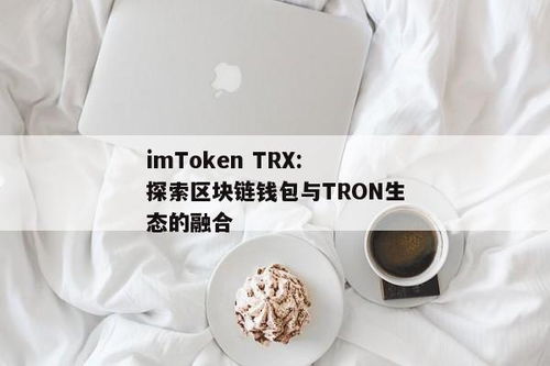 imtoken搜索trx代币,在imToken中管理波场币的便捷之道