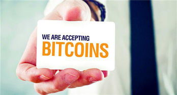 比特币现金巴比特,市场选择与价值认可的双重效应