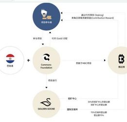 加密货币挖金视频,跟随视频探索数字金矿的奥秘