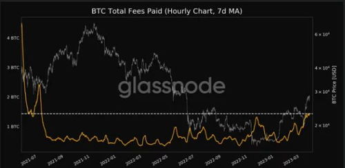 加密货币的十倍之旅,从默默无闻到十倍涨幅的加密货币传奇之旅