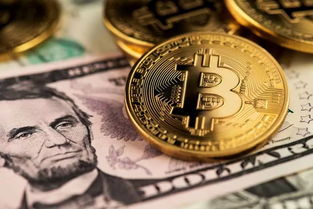 美国1万美元加密货币,1万美元加密货币背后的机遇与挑战解析