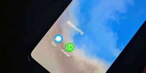 警方会用whatsapp吗,警方如何利用WhatsApp打击犯罪与维护安全